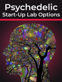 psychedelic-start-up-lab-options