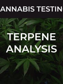 terpene-analysis