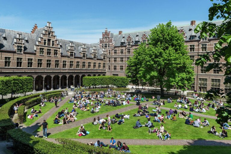 Thomas More University